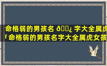 命格弱的男孩名 🌿 字大全属虎「命格弱的男孩名字大全属虎女孩」